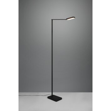 Trio Pavia Lampada da terra LED Nero, 1-Luce