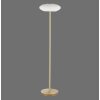 Paul Neuhaus Q-ETIENNE Lampada da terra LED Ottone, 1-Luce, Telecomando