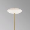 Paul Neuhaus Q-ETIENNE Lampada da terra LED Ottone, 1-Luce, Telecomando