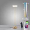 Paul Neuhaus Q-ETIENNE Lampada da terra LED Ottone, 1-Luce, Telecomando