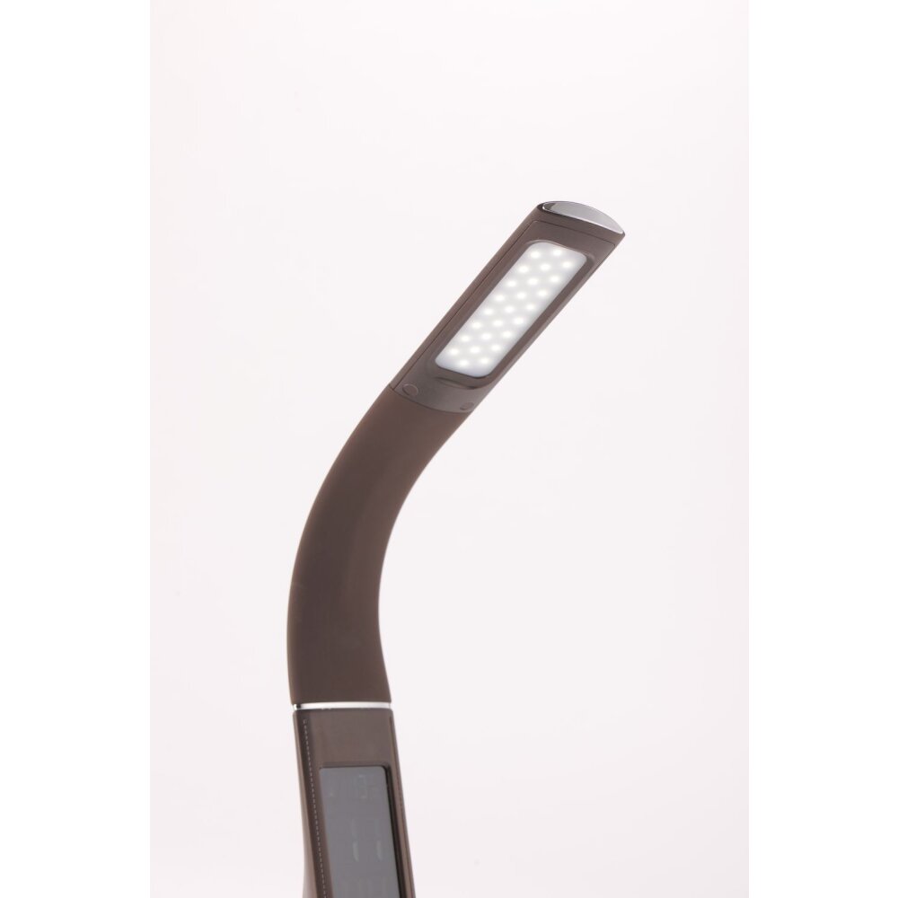 Paul Neuhaus ALEX Lampada da Tavolo LED Marrone, 1-Luce