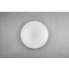 Reality TILION Plafoniera LED Bianco, 2-Luci, Telecomando, Cambia colore