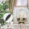 Golpilhal Lampada da tavolo Oro, Ottone, 1-Luce