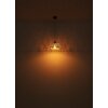 Globo COLLY Lampadario a sospensione Nero, 1-Luce