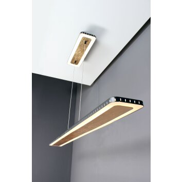 Luce Design Solaris Lampada a Sospensione LED Oro, Nero, 1-Luce