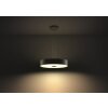 Philips Hue Fair Lampada a Sospensione LED Nero, 1-Luce, Telecomando