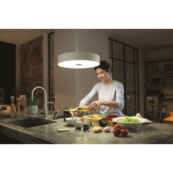 Philips Hue Fair Lampada a Sospensione LED Bianco, 1-Luce, Telecomando