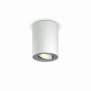 Philips Hue Pillar Plafoniera LED Bianco, 1-Luce