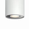 Philips Hue Pillar Plafoniera LED Bianco, 1-Luce