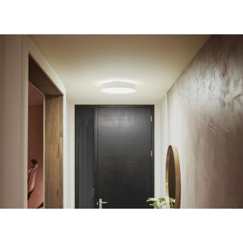 Philips Hue Enrave Plafoniera LED Bianco, 1-Luce, Telecomando