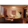 Philips Hue Enrave Plafoniera LED Bianco, 1-Luce, Telecomando