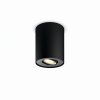 Philips Hue Pillar Plafoniera LED Nero, 1-Luce