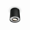 Philips Hue Pillar Plafoniera LED Nero, 1-Luce