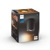 Philips Hue Pillar Plafoniera LED Nero, 1-Luce