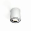 Philips Hue Pillar Plafoniera LED Bianco, 1-Luce, Telecomando