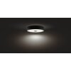 Philips Hue Fair Plafoniera LED Nero, 1-Luce, Telecomando