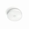 Philips Hue Fair Plafoniera LED Bianco, 1-Luce, Telecomando