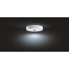 Philips Hue Fair Plafoniera LED Bianco, 1-Luce, Telecomando