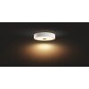 Philips Hue Fair Plafoniera LED Bianco, 1-Luce, Telecomando