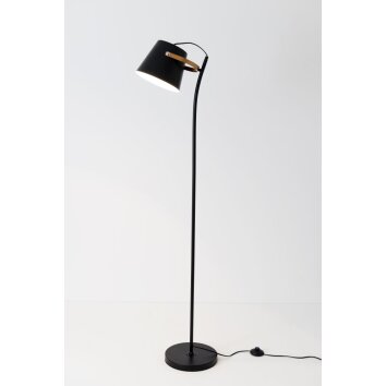 Holländer ESPERTO piantane Oro, Nero, Bianco, 1-Luce