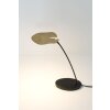 Holländer CONTROVERSA Lampade da tavolo LED Oro, Nero, 1-Luce