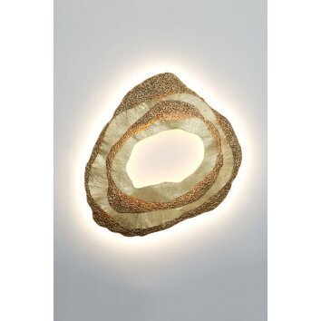 Holländer CORAL Applique LED Oro, 1-Luce