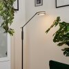 Huallilemu Lampada da terra LED Antracite, 1-Luce