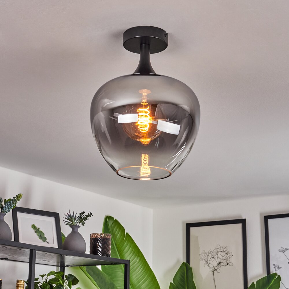 Azurara Plafoniera Chiaro, Grigio fumo, 1-Luce main product photo