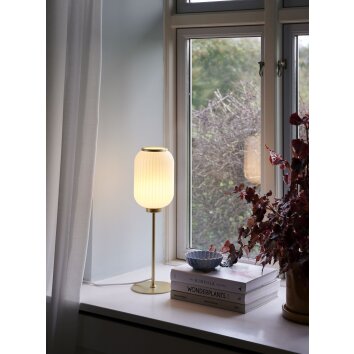 Nordlux MILFORD Lampada da tavolo Ottone, 1-Luce