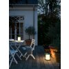 Nordlux TEMPLE Lampada da tavolo LED Ottone, 1-Luce