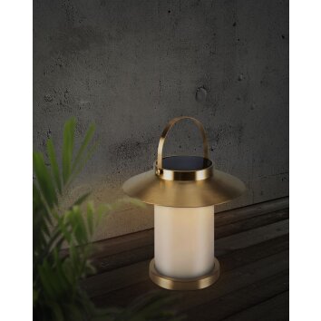 Nordlux TEMPLE Lampada da tavolo LED Ottone, 1-Luce