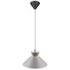 Nordlux DIAL Lampadario a sospensione Grigio, 1-Luce