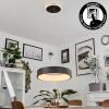 Areja Lampadario a sospensione LED Nero, Bianco, 1-Luce