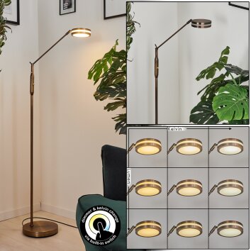 Huallilemu Lampada da terra LED Ottone antico, 1-Luce