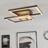 Serzedelo Plafoniera LED Nero, 1-Luce