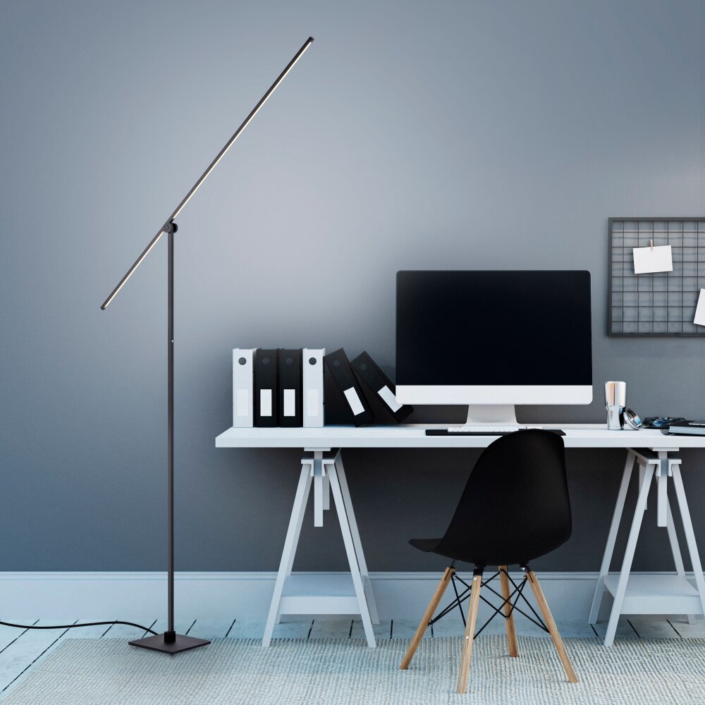Paul Neuhaus PURE-GRAFO Lampada da terra LED Nero, 1-Luce main product photo