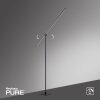 Paul Neuhaus PURE-GRAFO Lampada da terra LED Nero, 1-Luce