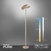 Paul Neuhaus PURE-MUTIL Piantana LED Ottone, 2-Luci