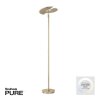 Paul Neuhaus PURE-MUTIL Piantana LED Ottone, 2-Luci