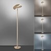 Paul Neuhaus PURE-MUTIL Piantana LED Ottone, 2-Luci