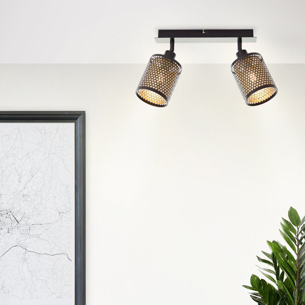 Brilliant Cheval Plafoniera Nero, 2-Luci main product photo