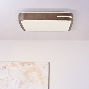 Brilliant Woodbury Plafoniera LED Bianco, 1-Luce