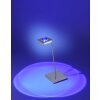 Lampada da Tavolo Paul Neuhaus Q-Fisheye LED Acciaio inox, 2-Luci, Telecomando, Cambia colore