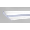 Lampada a Sospensione Paul Neuhaus Q-Riller LED Cromo, 14-Luci, Telecomando, Cambia colore