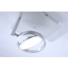 Plafoniera Paul Neuhaus Q-Orbit LED Alluminio, 1-Luce, Telecomando