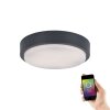 Paul Neuhaus Q-LENNY Plafoniera LED Antracite, 1-Luce, Telecomando, Cambia colore