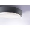 Paul Neuhaus Q-LENNY Plafoniera LED Antracite, 1-Luce, Telecomando, Cambia colore