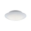 Paul Neuhaus Q-ARKTIS Plafoniera LED Bianco, 1-Luce, Telecomando, Cambia colore
