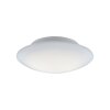 Paul Neuhaus Q-ARKTIS Plafoniera LED Bianco, 1-Luce, Telecomando, Cambia colore