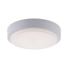 Paul Neuhaus Q-LENNY Plafoniera LED Bianco, 1-Luce, Telecomando, Cambia colore